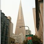 San Francisco XI - die Spitze