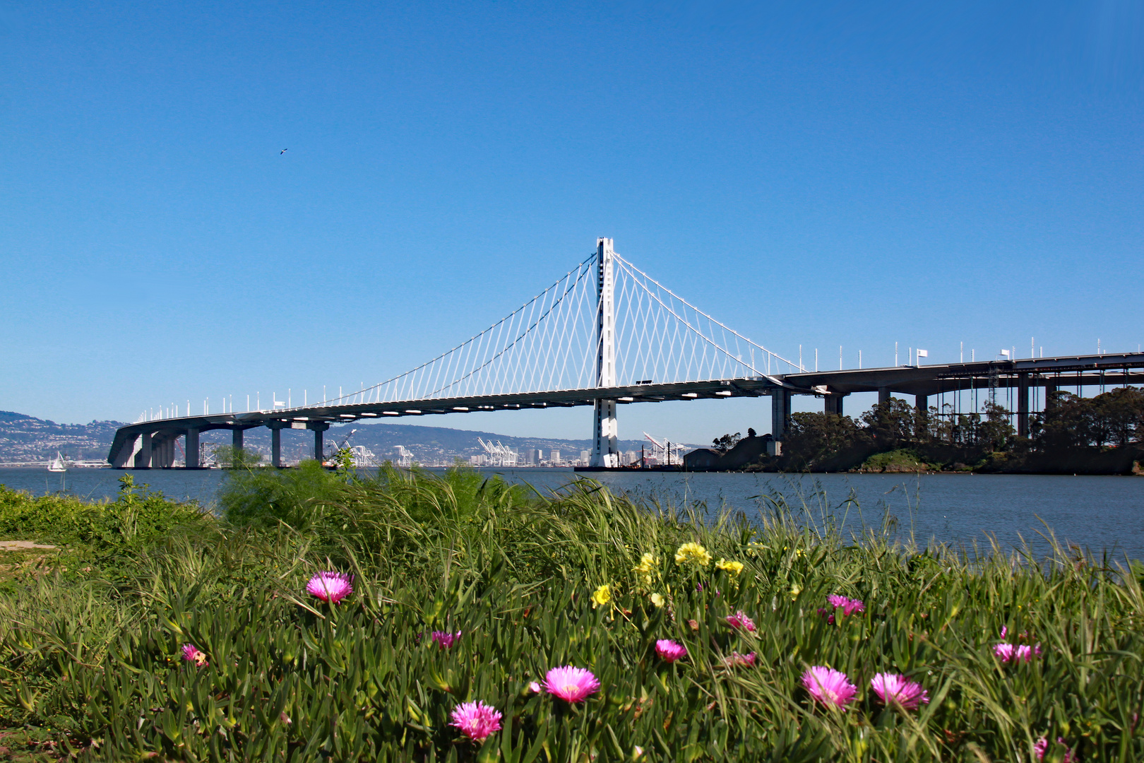 San Franciscos neue Brückenschönheit
