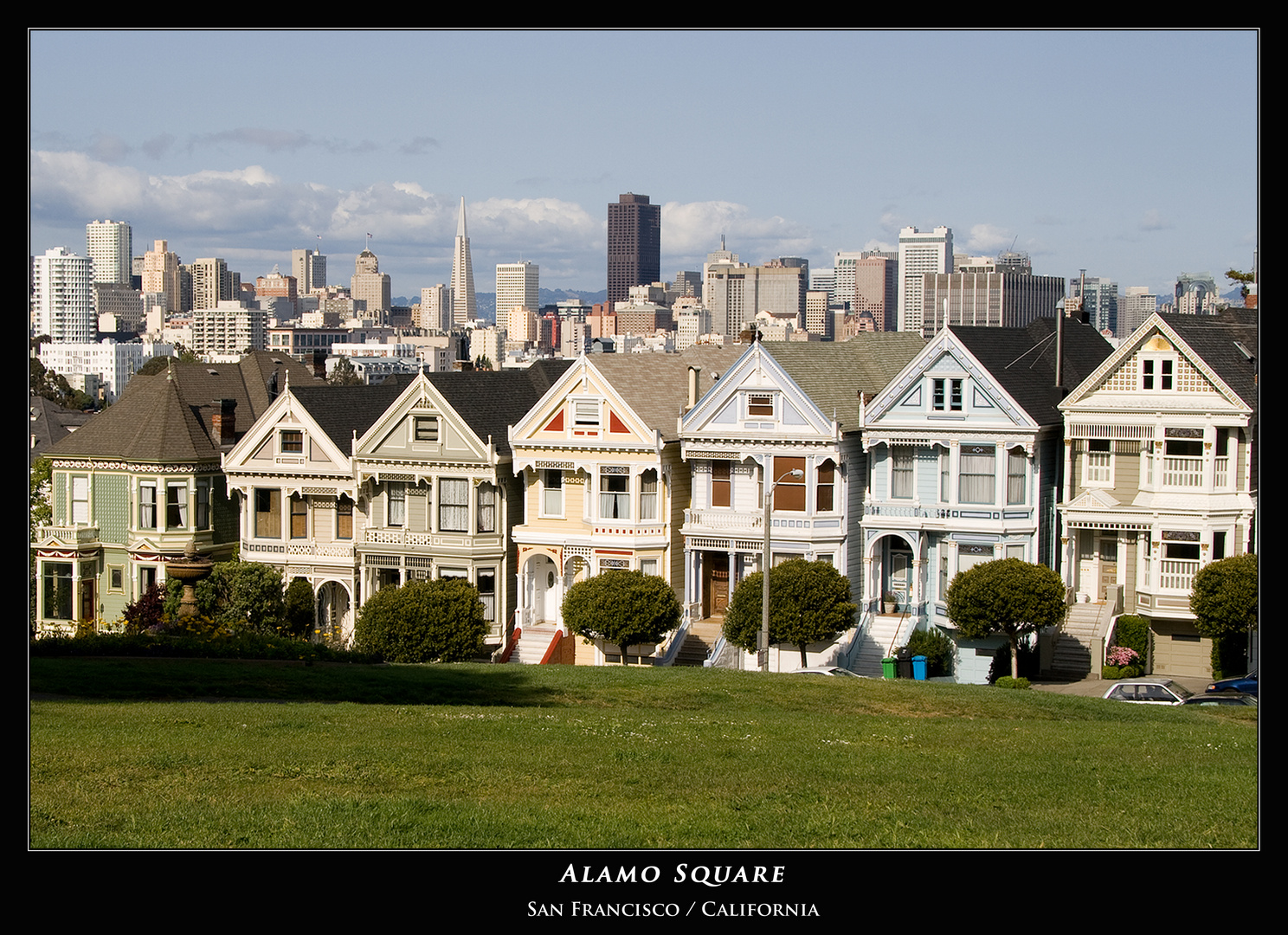 San Franciscos Pink Ladys