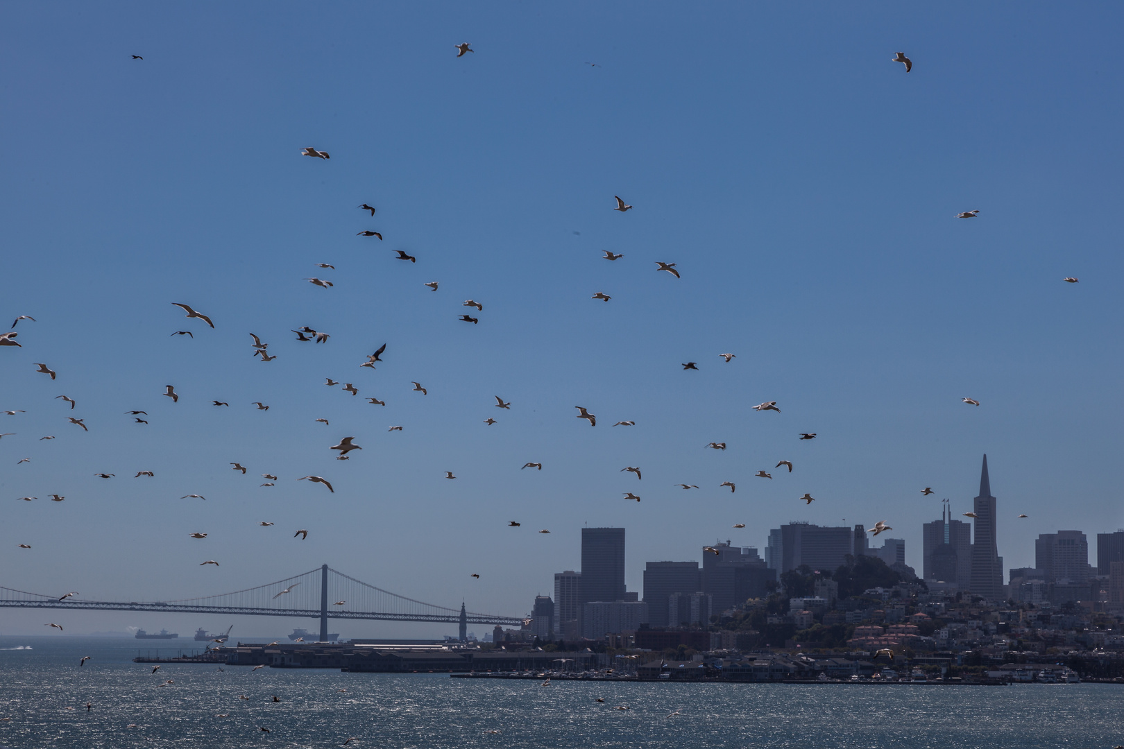 San Fransisco view from Alcatraz