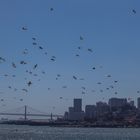 San Fransisco view from Alcatraz
