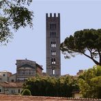 San Frediano in Lucca