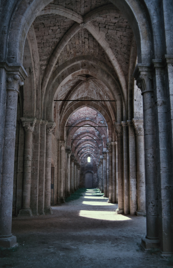 San Galgano 1986