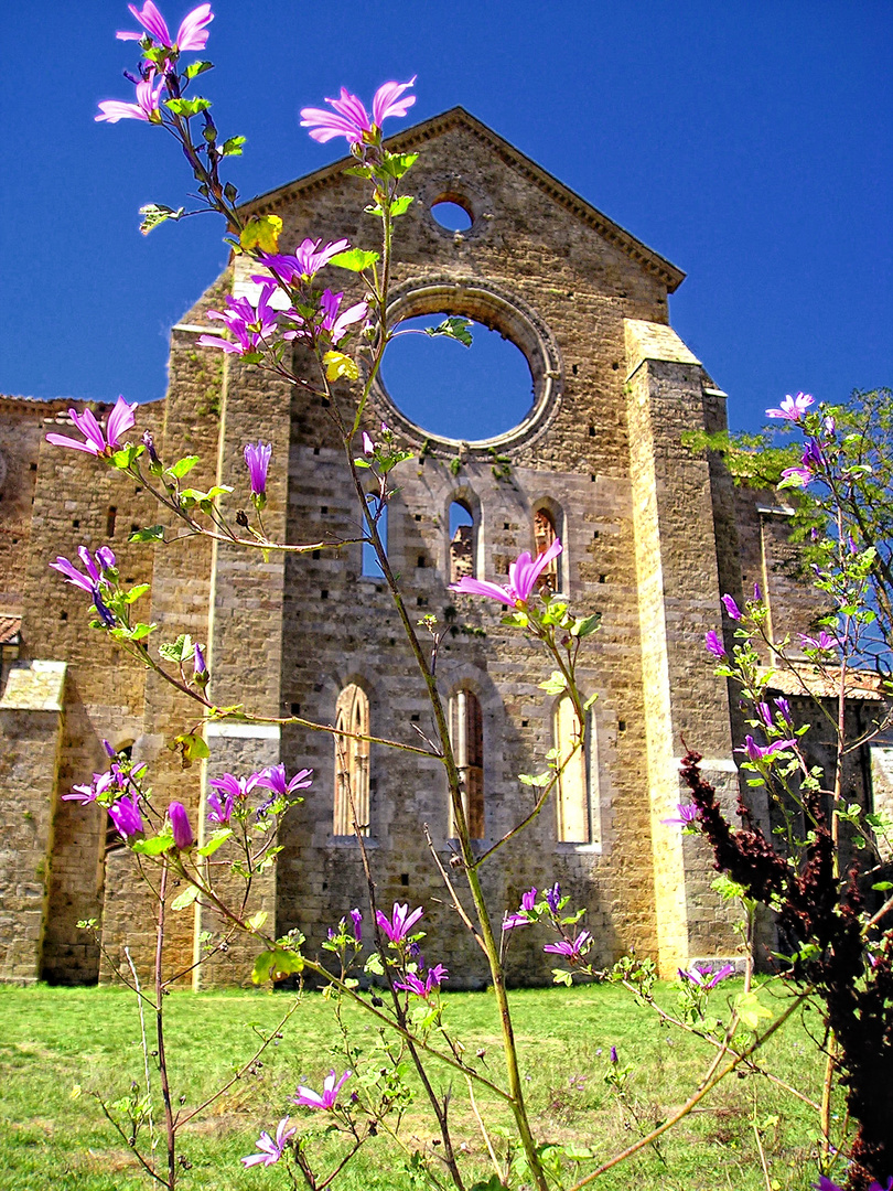 San Galgano - Esterno Abbazia