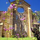 San Galgano - Esterno Abbazia