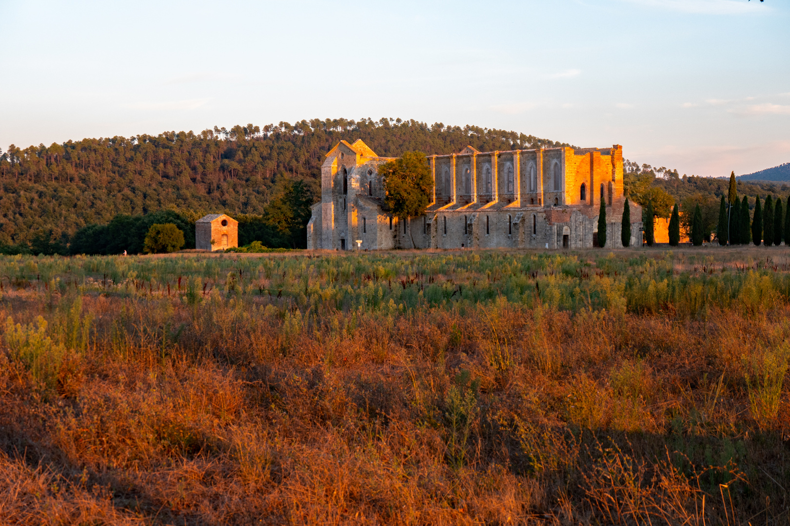 San Galgano im Abendlicht