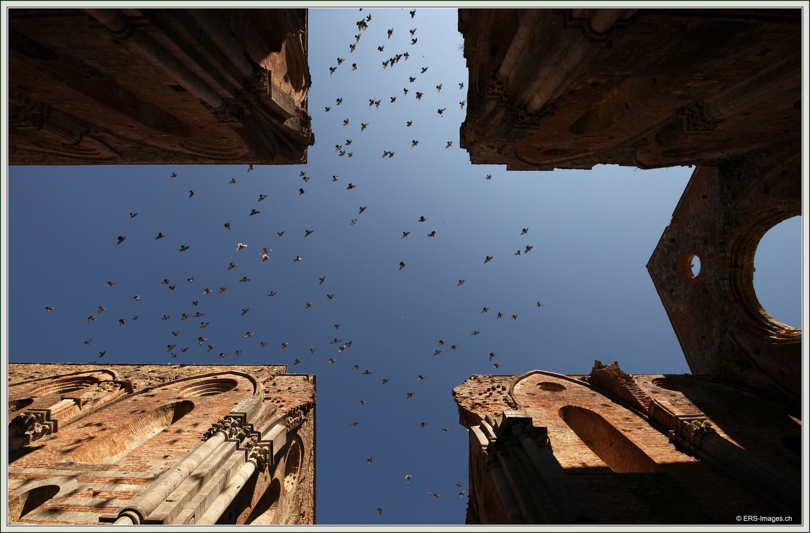 San Galgano Rumore terrorizando i piccioni 5D 2017-10-13 008 ©