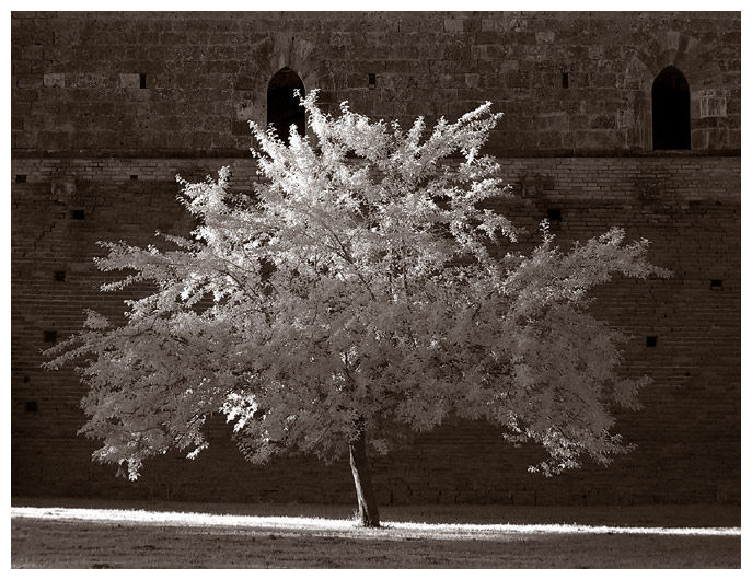 San Galgano_1(IR)