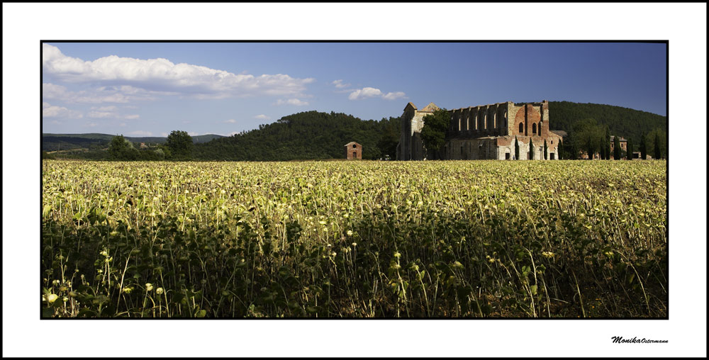 San Galgano#2