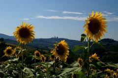 San Gimignano 01