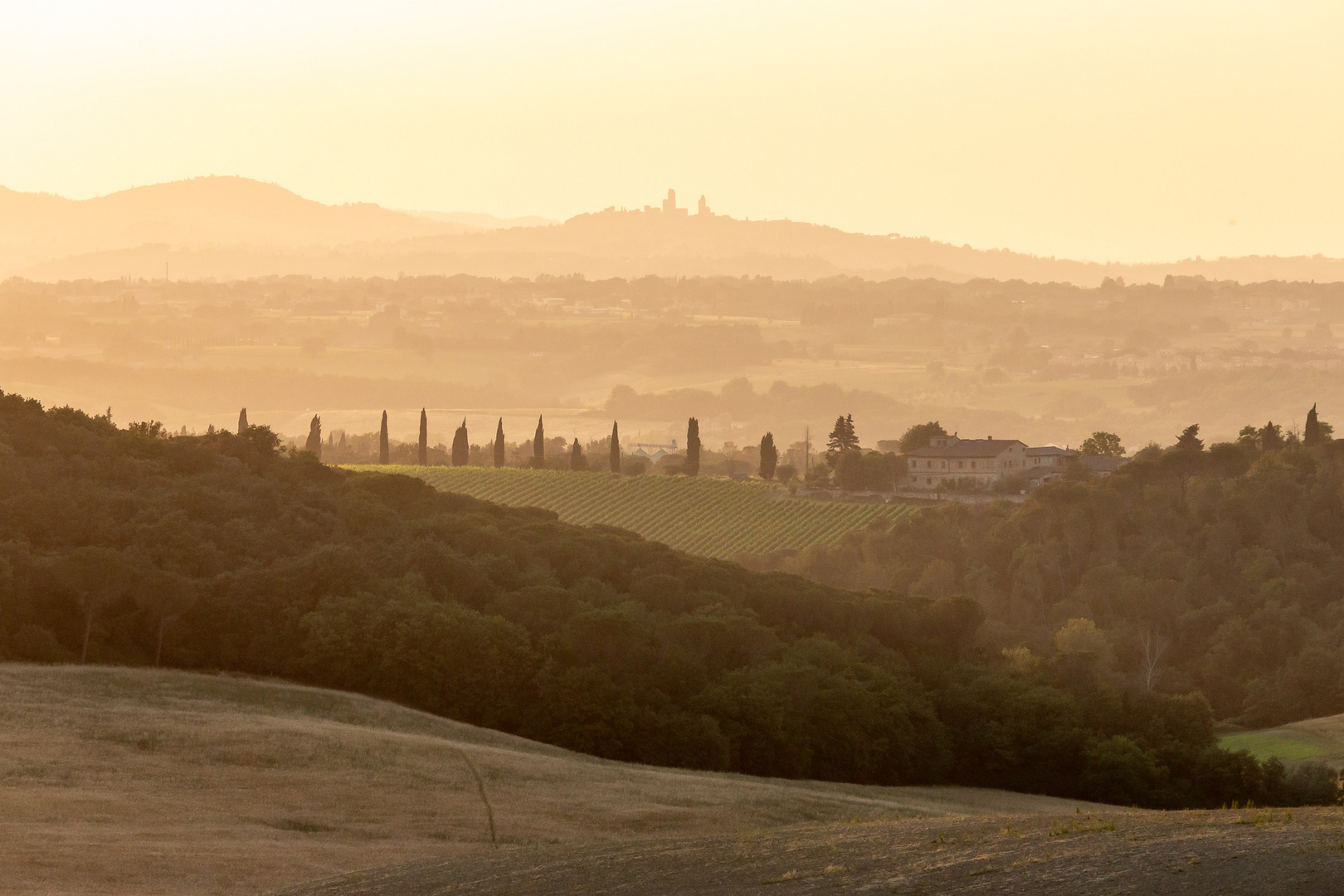 San Gimignano Blick