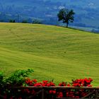 San Gimignano