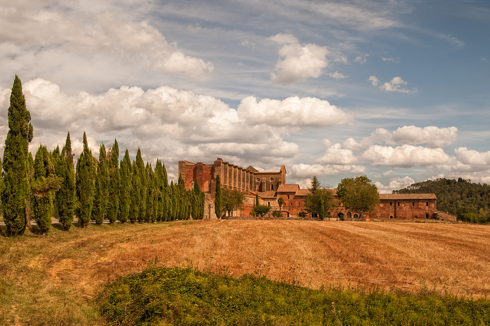 - San Gimignano I -