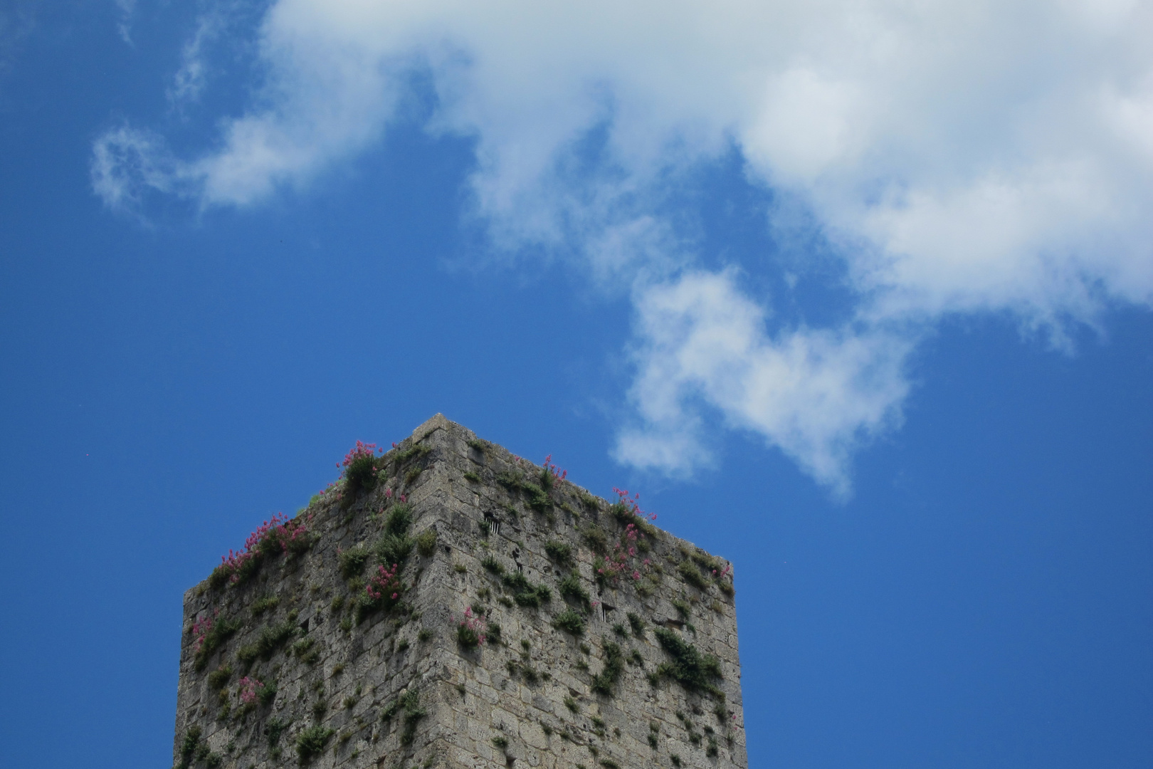 San Gimignano ist top.