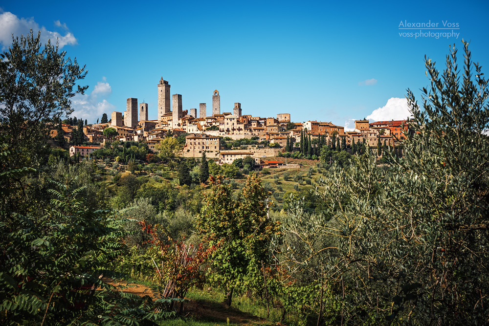 San Gimignano Skyline