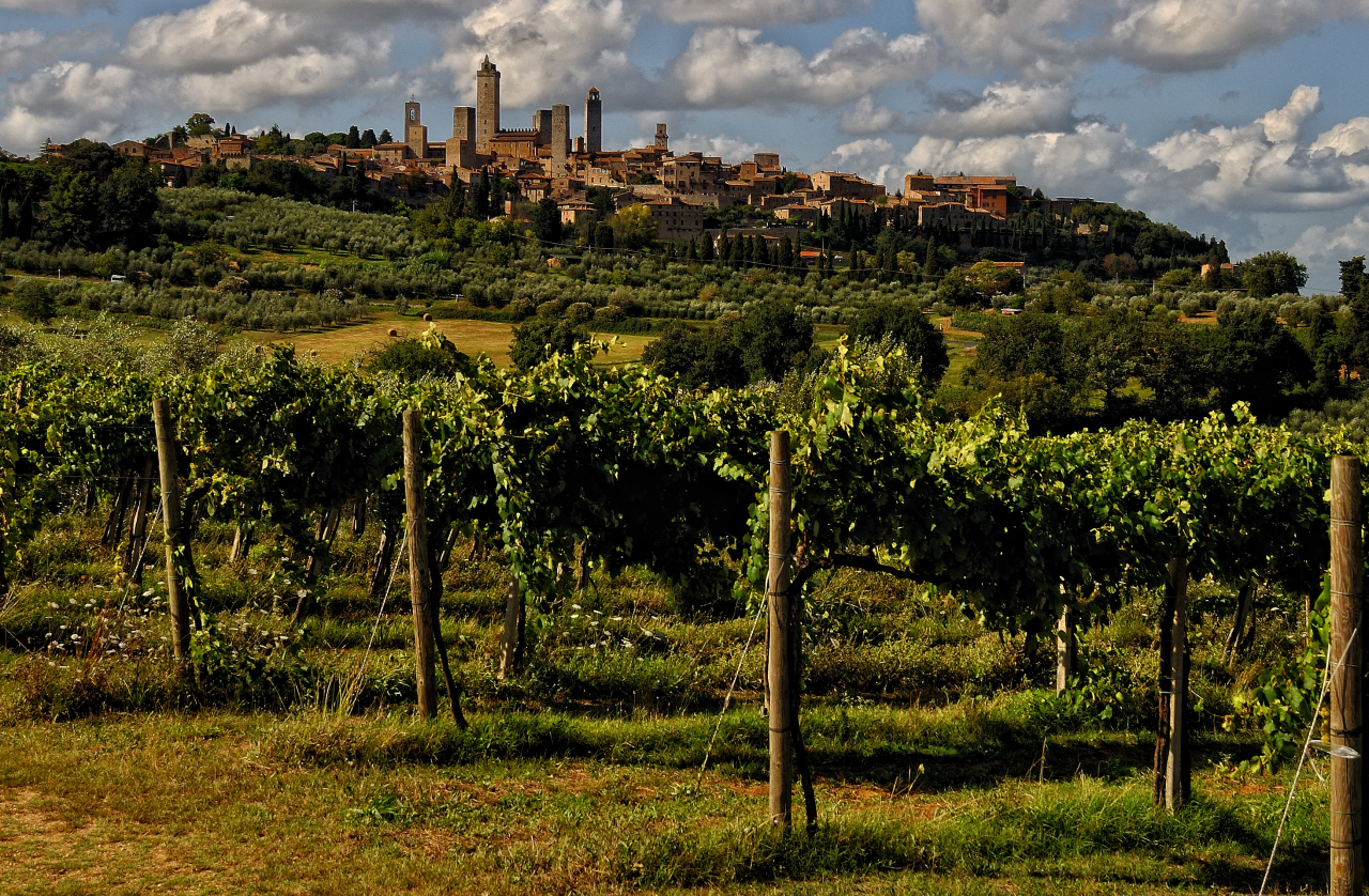 San Gimignano sopra le viti!