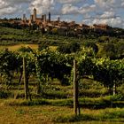 San Gimignano sopra le viti!