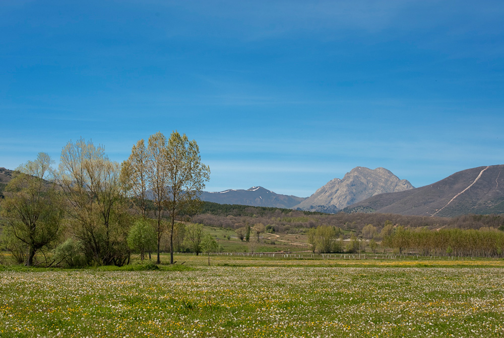 San Isidro al fondo