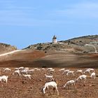 San José, Provinz Almería, Cabo di Gata