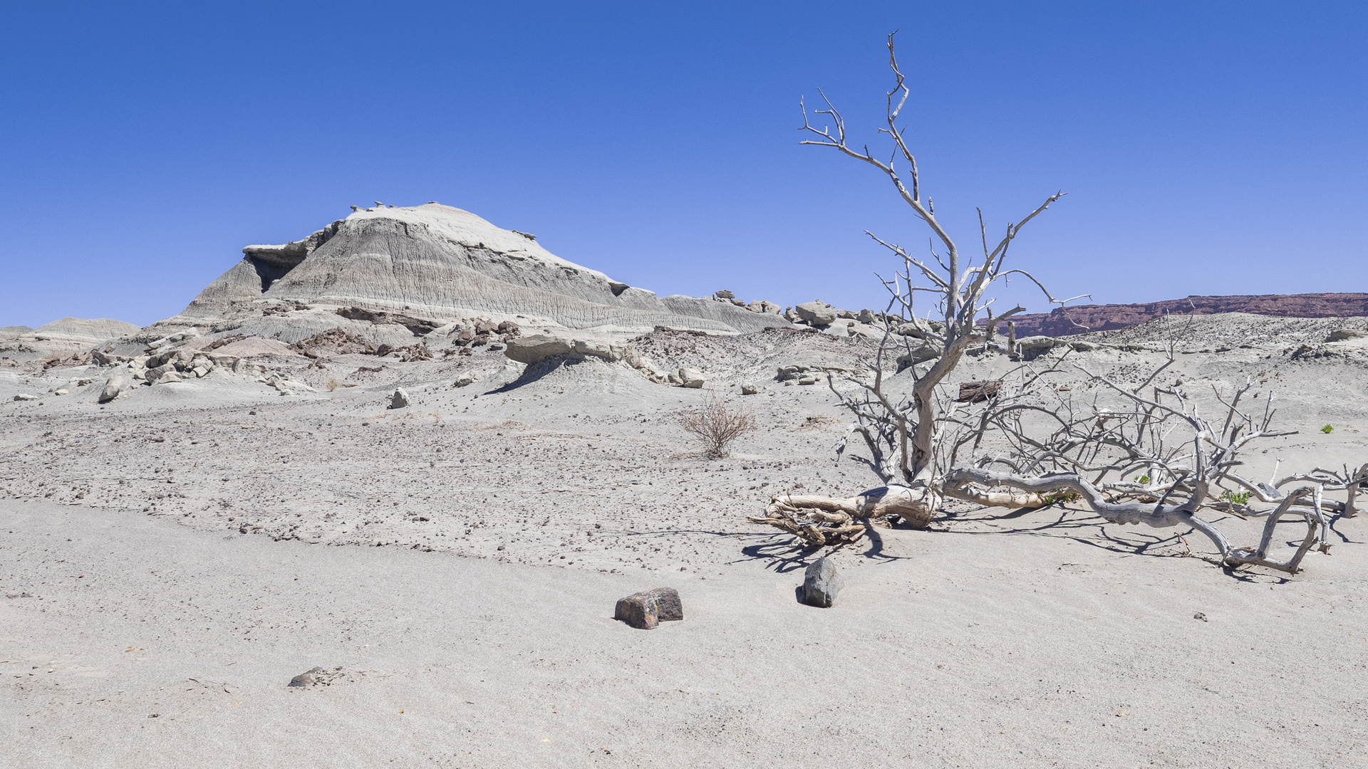 San Juan - Ischigualasto - Dürre