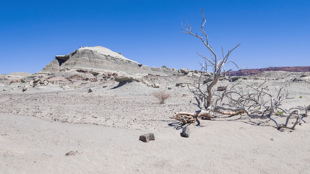 San Juan - Ischigualasto - Dürre