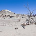 San Juan - Ischigualasto - Dürre