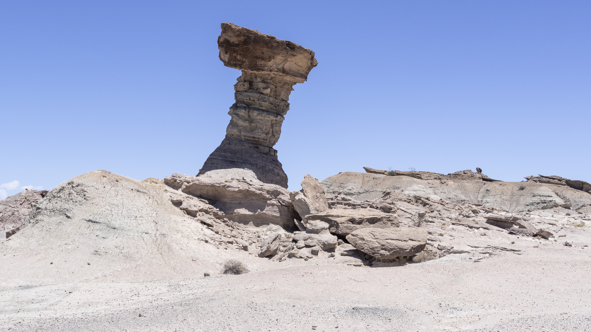 San Juan - Ischigualasto - El Hongo