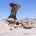 San Juan - Ischigualasto - El Hongo