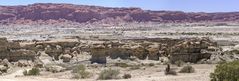 San Juan - Ischigualasto - El Parque