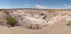 San Juan - Ischigualasto - El Valle Pintado