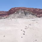 San Juan - Ischigualasto - Fahrt durch den Park