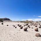 San Juan - Ischigualasto - La Cancha de Bochas