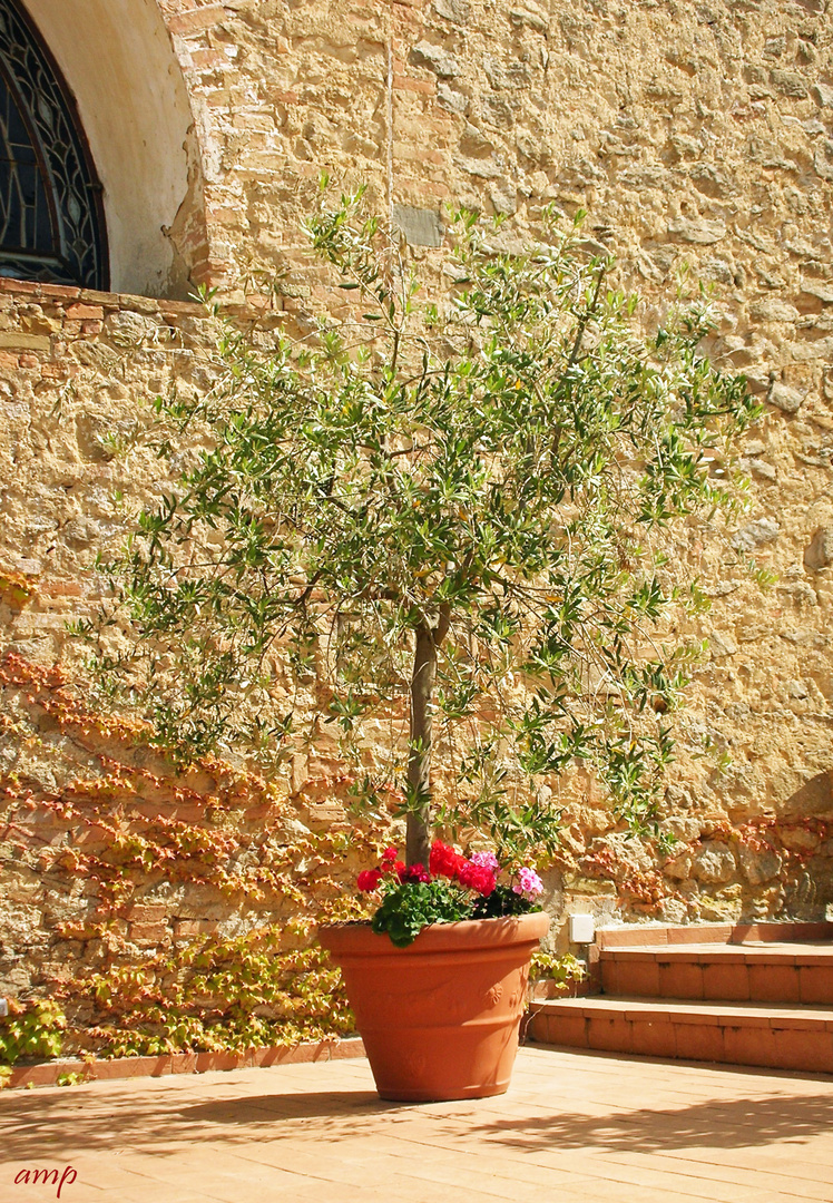 San Lino, Volterra