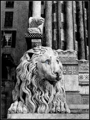 San Lorenzo's Lion