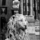 San Lorenzo's Lion