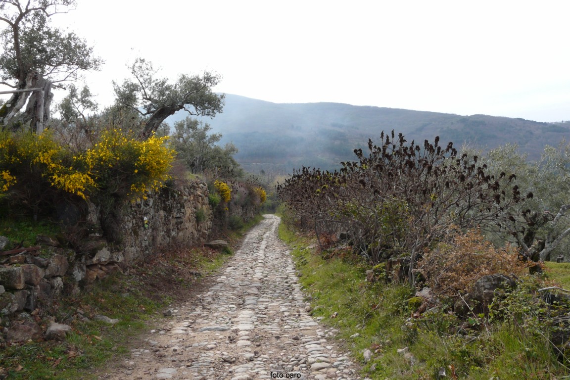 San Martín de Trevejo. Sierra de Gata (Cáceres).