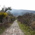 San Martín de Trevejo. Sierra de Gata (Cáceres).