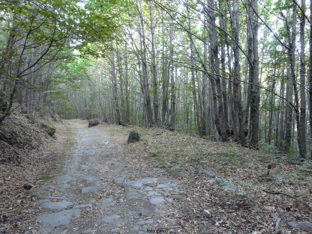 San Martín de Trevejo. Sierra de Gata (Cáceres)4