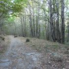 San Martín de Trevejo. Sierra de Gata (Cáceres)4