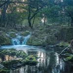 ***San Nicolás del Puerto***