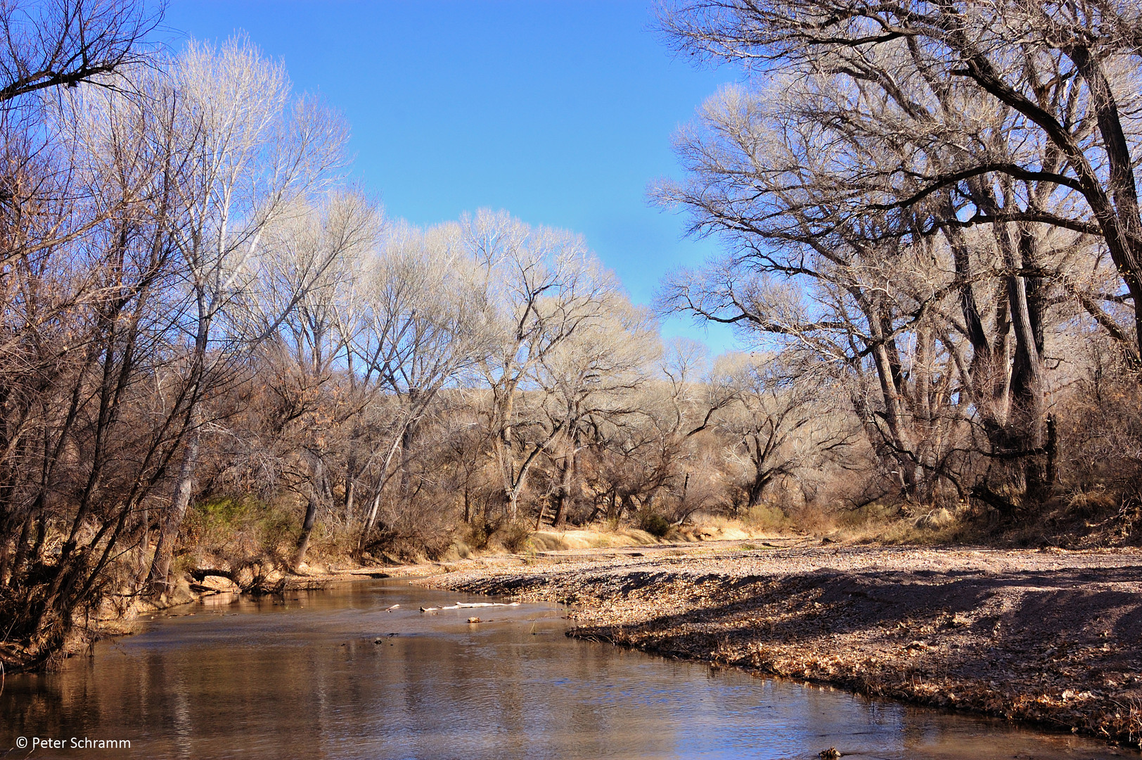 San Pedro River