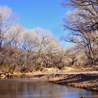 San Pedro River