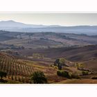 SAN QUIRICO d`Orcia