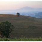 San Quirico D'Orcia II