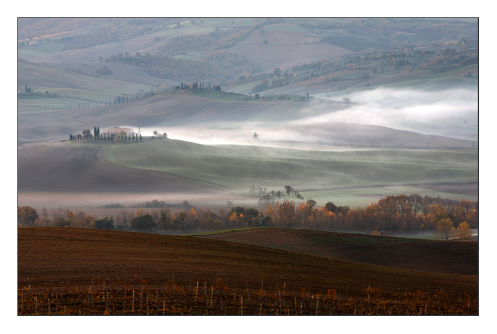 San Quirico d'Orcia - Morgennebel