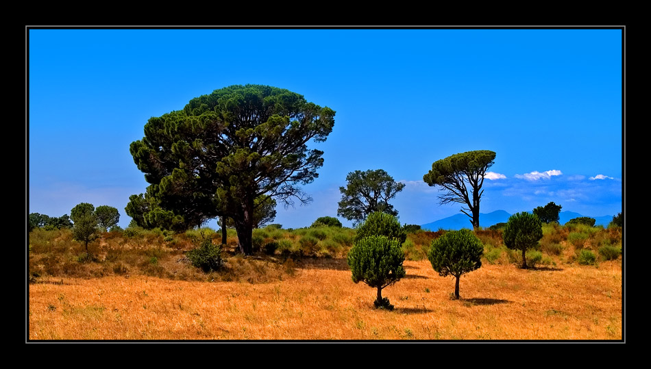 San Quirze - Pyrenäen - Costa Brava von Thomas Hoppe