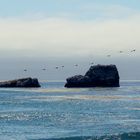 San Simeon Beach