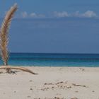 San Vito Lo Capo