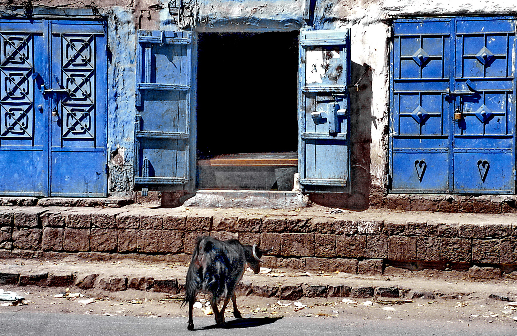 Sana'a: Urbane Tierhaltung