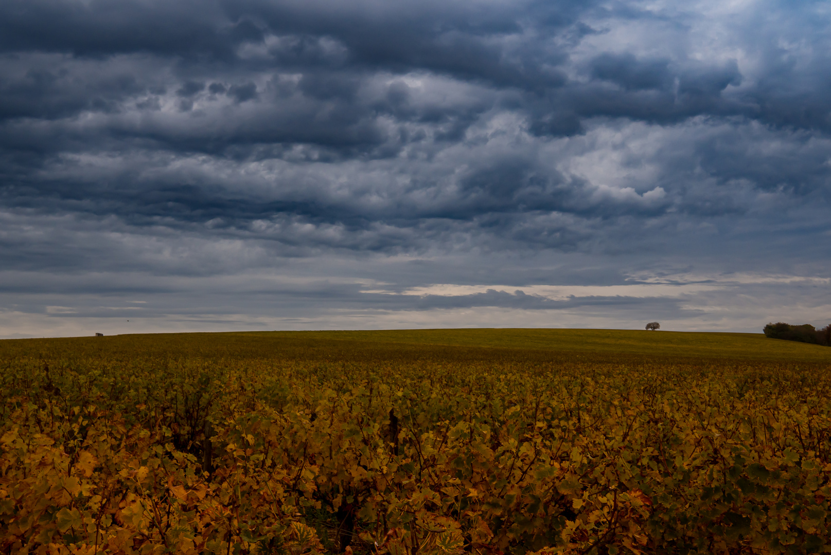 Sancerre #2